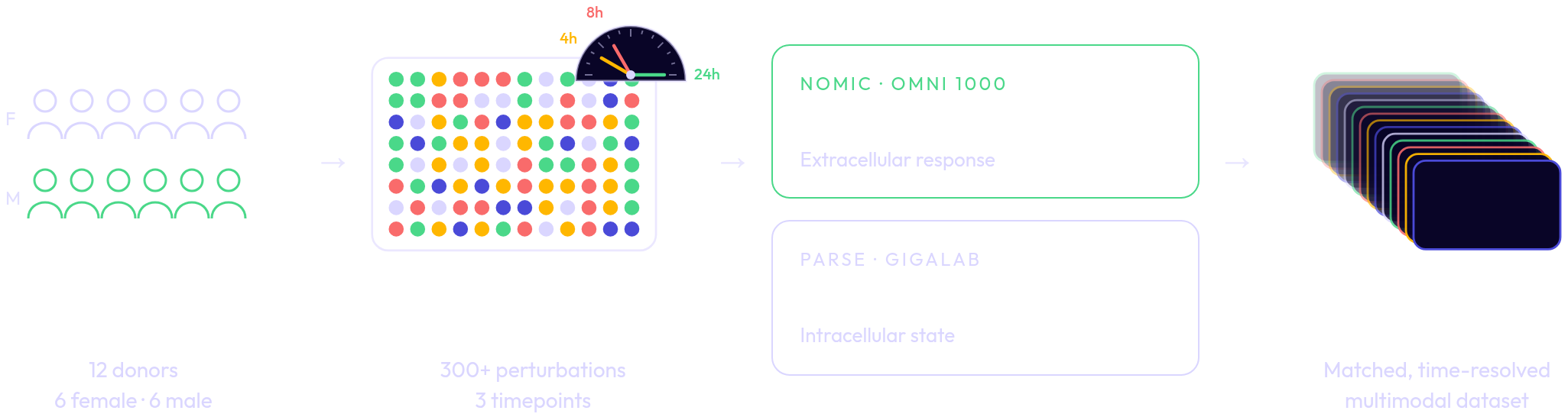 Cascade workflow: 12 healthy donors (6 female, 6 male), 300+ controlled perturbations at 3 timepoints, measured by Nomic Omni 1000 secretome proteomics and Parse GigaLab single-cell RNA sequencing, combined into the Cascade dataset.